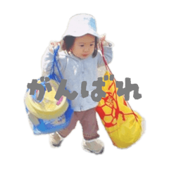 taisei_20260122013859