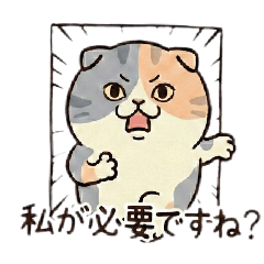 higeKIM_20260122015345