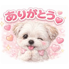 ichigoichie_20260122130225