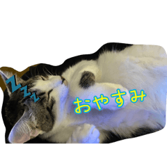 Rei_20260122014411
