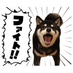 K_20260122131919