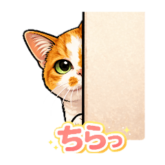 mizuti_20260122125912