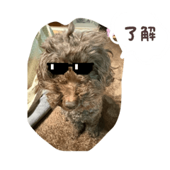 Five_20260122204550