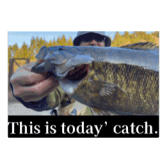 OSUKE_20260122221320