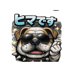 kinkin_20260122213658