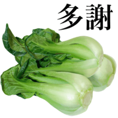 Flesh "Bok choy" 8
