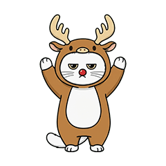 grumpy cat5: Scotish Fold