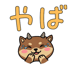 敬語丸顔アイベックス23