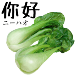 Flesh "Bok choy" 12