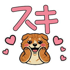 反応キンカロー15