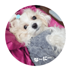 shinobu_20260122222335