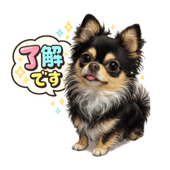 Maroron_20260122222432