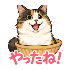 sakura_20260122221944