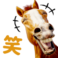 A racehorse with an eclair-like pattern1