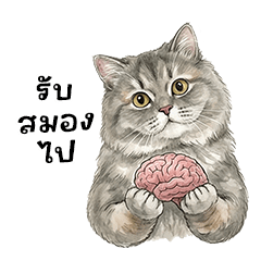 เลเลเดอะมัฟฟิน