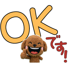 敬語の茶トイプードル11