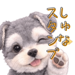 Usable Every Day! Schnauzer Stamps