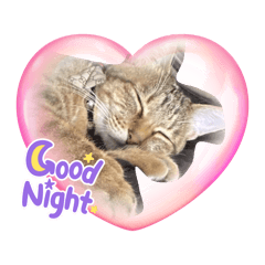 akiaryue_20260122181425