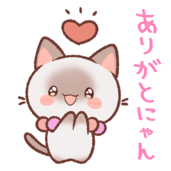 奇跡の仔猫ポンちゃん