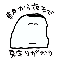 見守りかんちょんの朝から晩まで