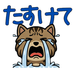 オーバーなクラシックタビー3