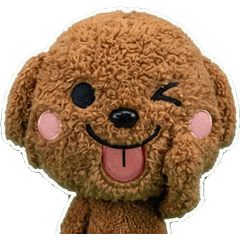 動く茶トイプードル8