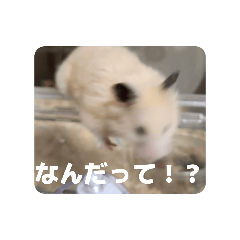 Water_20260122185540