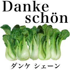 ちんげん菜 【ドイツ語】