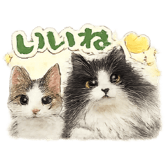 cute cat sticker maimai