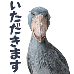 Easy to use! Realistic Shoebill