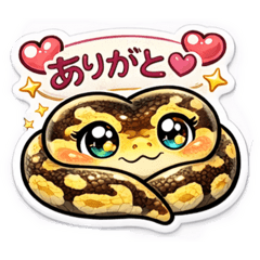 PUKURI SNAKE