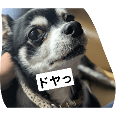 Osechi_20260122205636