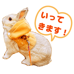 ENTTY_20260122235328