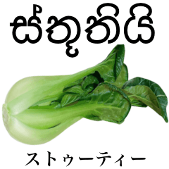 ちんげん菜 【シンハラ語】