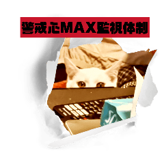 morimorimoan_20260123082604