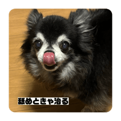 mumu_20260123082430