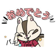 chechegina_20260122150358