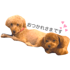 kaede_20260123103500