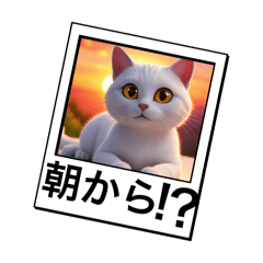 ニャァのあいさつ状Part14