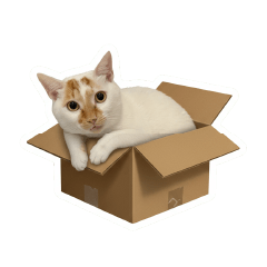 家貓麻吉的日常