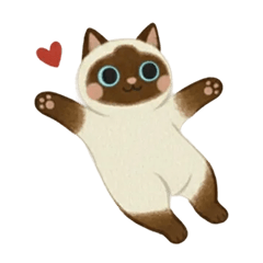 Coco the Siamese: Your Sweet Companion