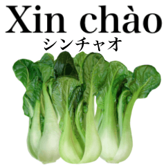 Flesh "Bok choy" 20