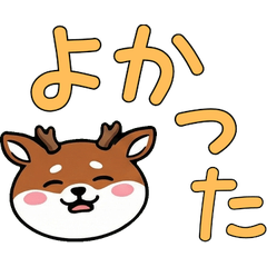 動く敬語アカシカ24