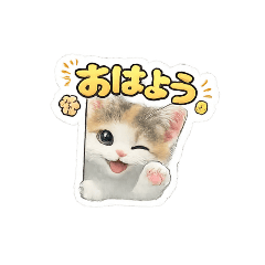 hiropanda_20260122193615