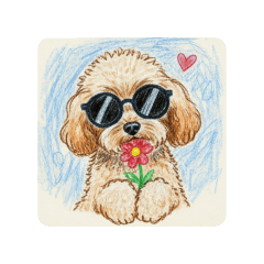 dog toypoodle sunglassese