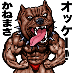 Kanemasa dedicated Muscle macho animal