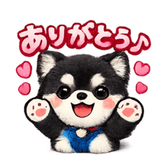 BLACK tan Chihuahua tun