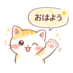 konto_20260123065737