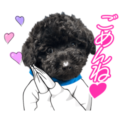 wagaya_20260123044507