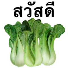 Flesh "Bok choy" 6